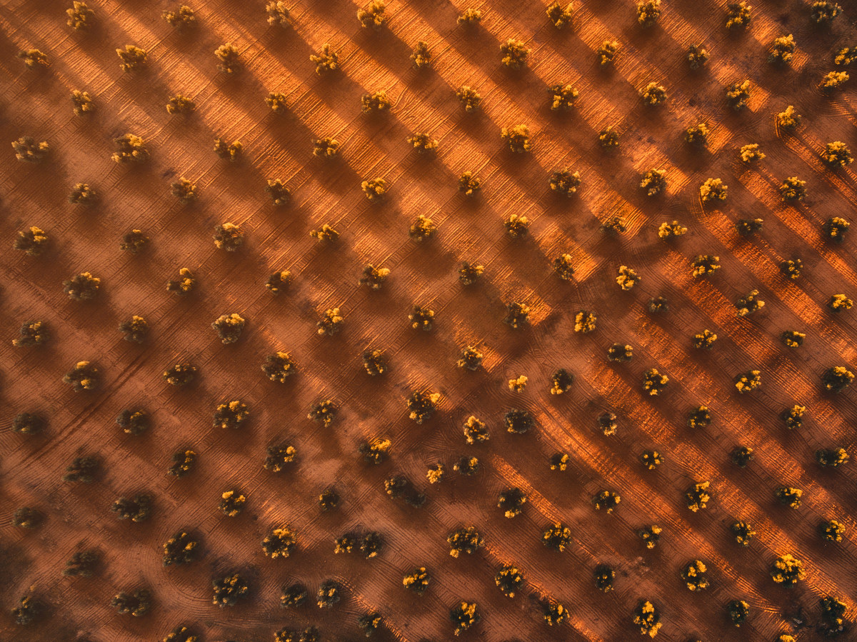 GEOMETRY OF LIQUID GOLD